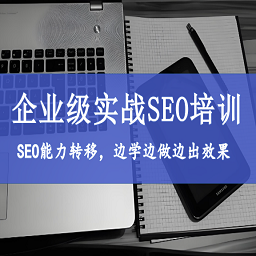 實(shí)戰(zhàn)SEO培訓(xùn)