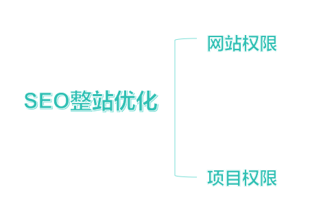 權(quán)限：整站優(yōu)化中的非技術(shù)性關(guān)鍵因素